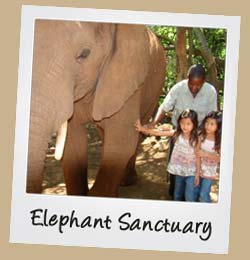 Elephant Sanctuary