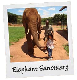 Elephant Sanctuary