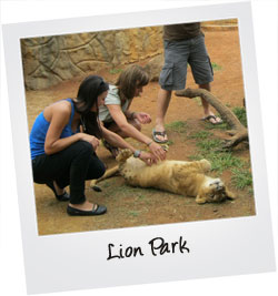 Lion Park