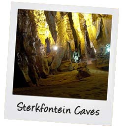 Sterkfontein