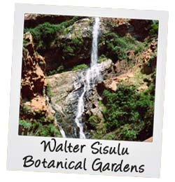 Botanical Gardens